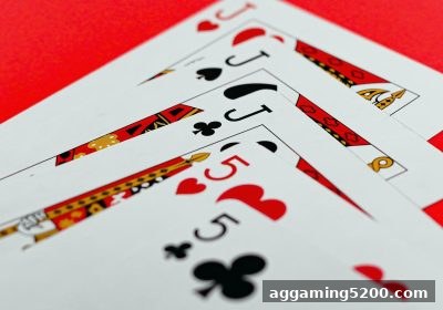 捕鱼达人网页版启发：五龙争霸团队协作实战进阶指南