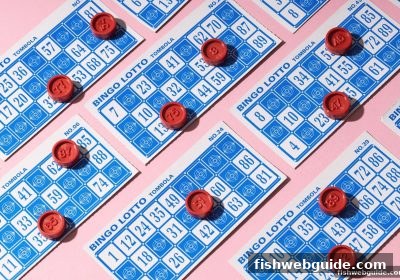正规彩票购买渠道全解析——捕鱼达人网页版教你识别真假平台