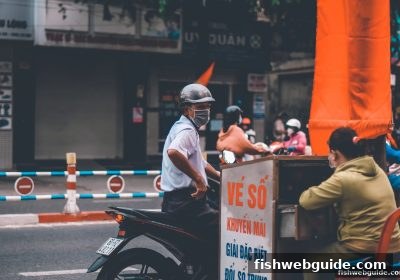 捕鱼达人网页版带你解锁彩票密码：从概率认知到球队阵容实战分析