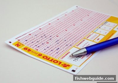 捕鱼达人网页版：水果机新手入门全攻略（基础篇）