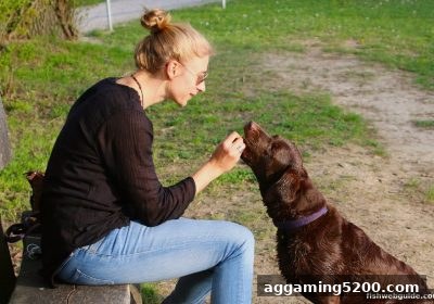 捕鱼达人网页版生日礼金全攻略：形式、领取技巧与最大化玩法